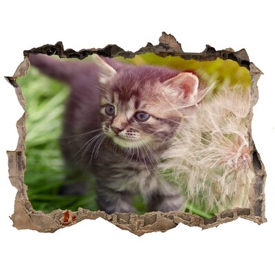 Díra 3D fototapeta nálepka Mačiatko s púpavy