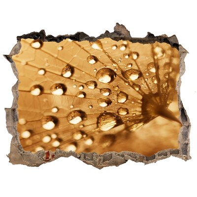 Samolepící nálepka fototapeta Kvapky na liste