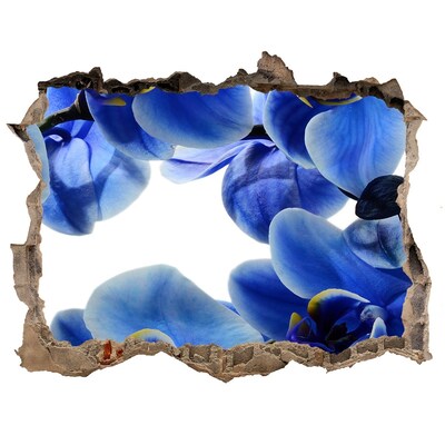 Fototapeta nálepka na zeď Modrá orchidea