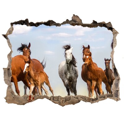 Díra 3D fototapeta nálepka Cválajúca kone