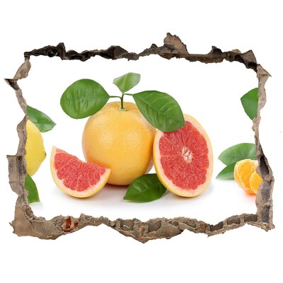 Nálepka 3D díra na zeď Citrusové ovocie