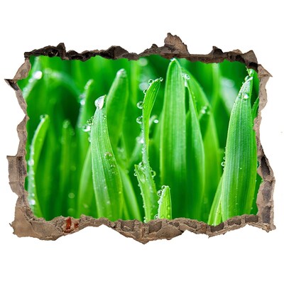 Samolepící nálepka na zeď fototapeta Zelená lúka s kvapkami vody