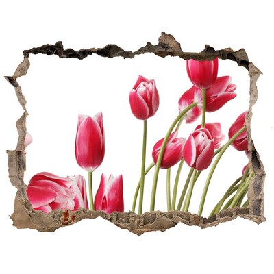 Samolepící nálepka Červené tulipány