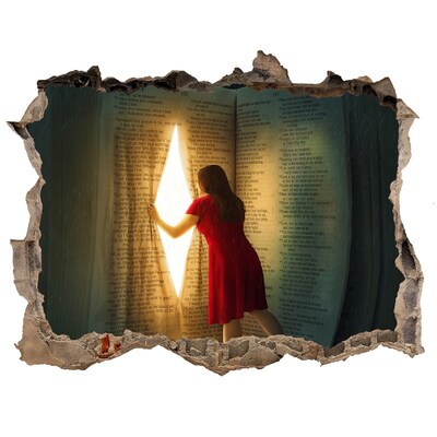 Fototapeta díra na zeď Diera v realite