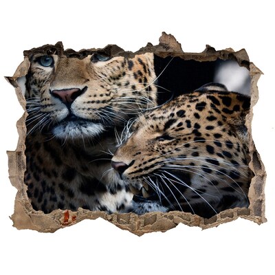 Díra 3D fototapeta na stěnu Dva leopardy
