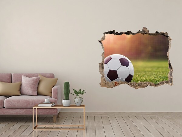 Fototapeta díra na zeď 3D Futbalová brána na ihrisku