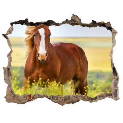 Díra 3D fototapeta nálepka Hnedý kôň
