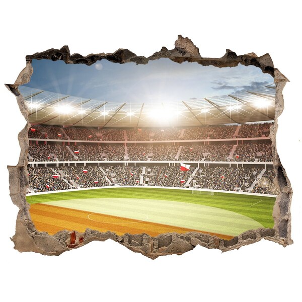 Fototapeta díra na zeď 3D Štadión v akcii
