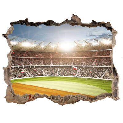 Fototapeta díra na zeď 3D Štadión v akcii