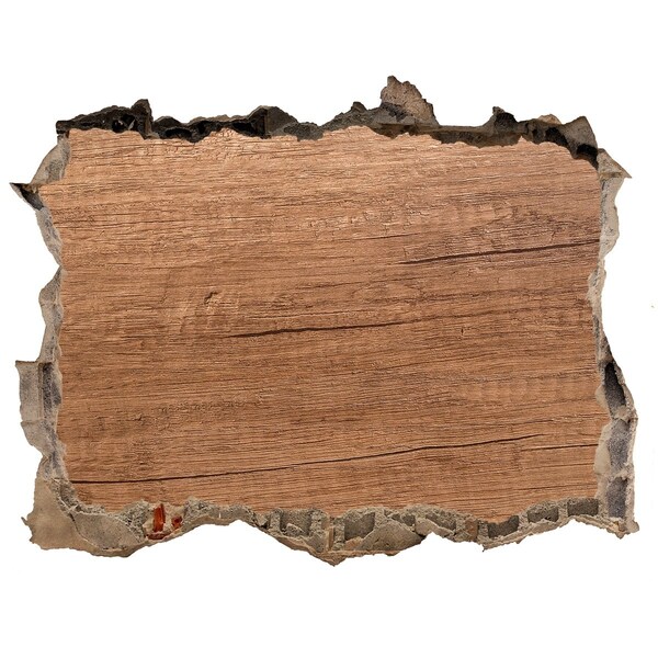 Fototapeta díra na zeď Poškodená stena s drevenou doskou