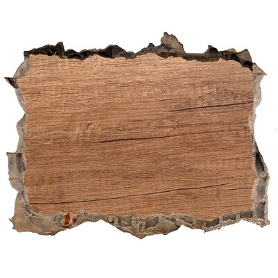 Fototapeta díra na zeď Poškodená stena s drevenou doskou