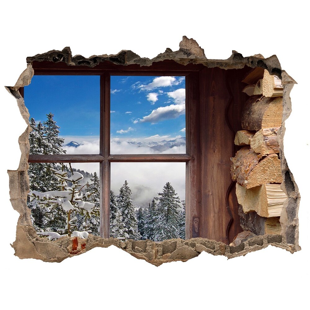 Fototapeta díra na zeď Zimný oknom