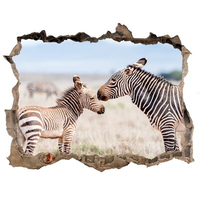 Díra 3D fototapeta na stěnu Zebry vo voľnej prírode