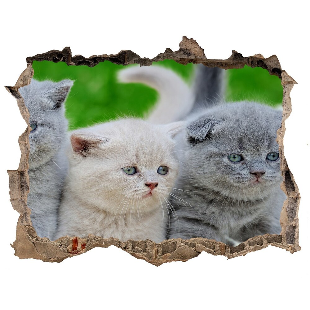 Díra 3D fototapeta nálepka Tri mačky na deke