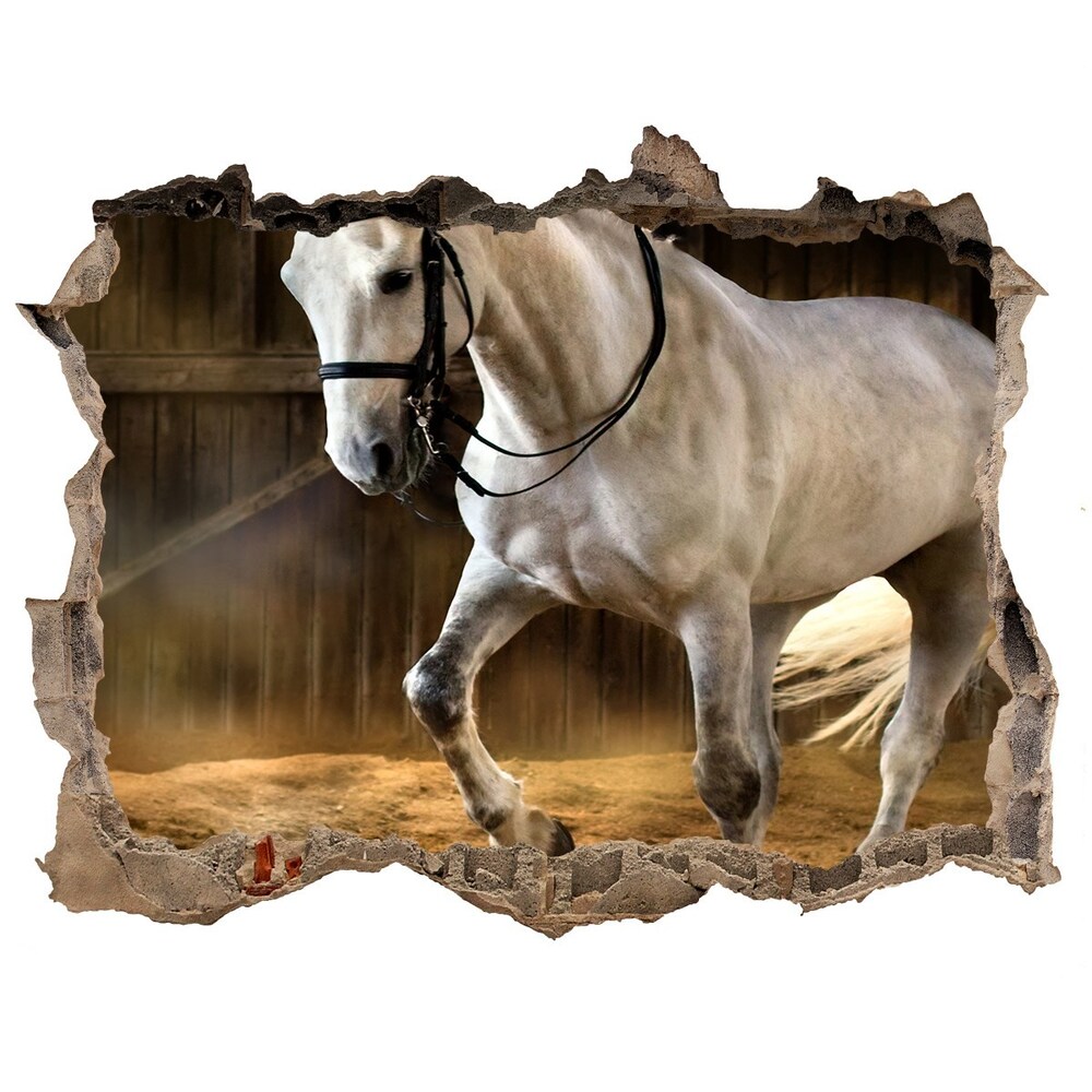 Díra 3D fototapeta na stěnu Biely kôň v stajni