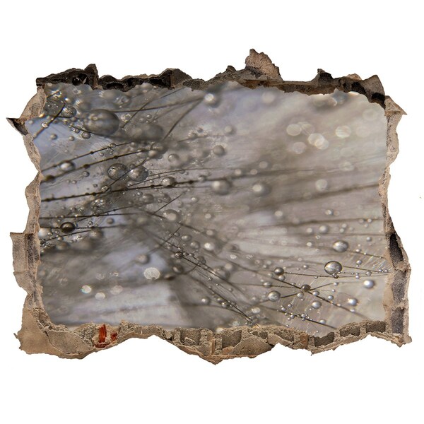 Samolepící nálepka na zeď Kvapky vody na skle