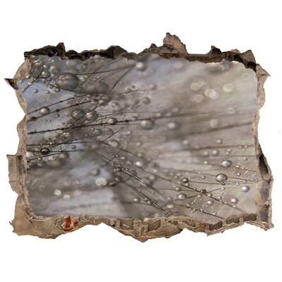 Samolepící nálepka na zeď Kvapky vody na skle