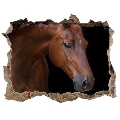 Díra 3D fototapeta na stěnu Hnedý kôň