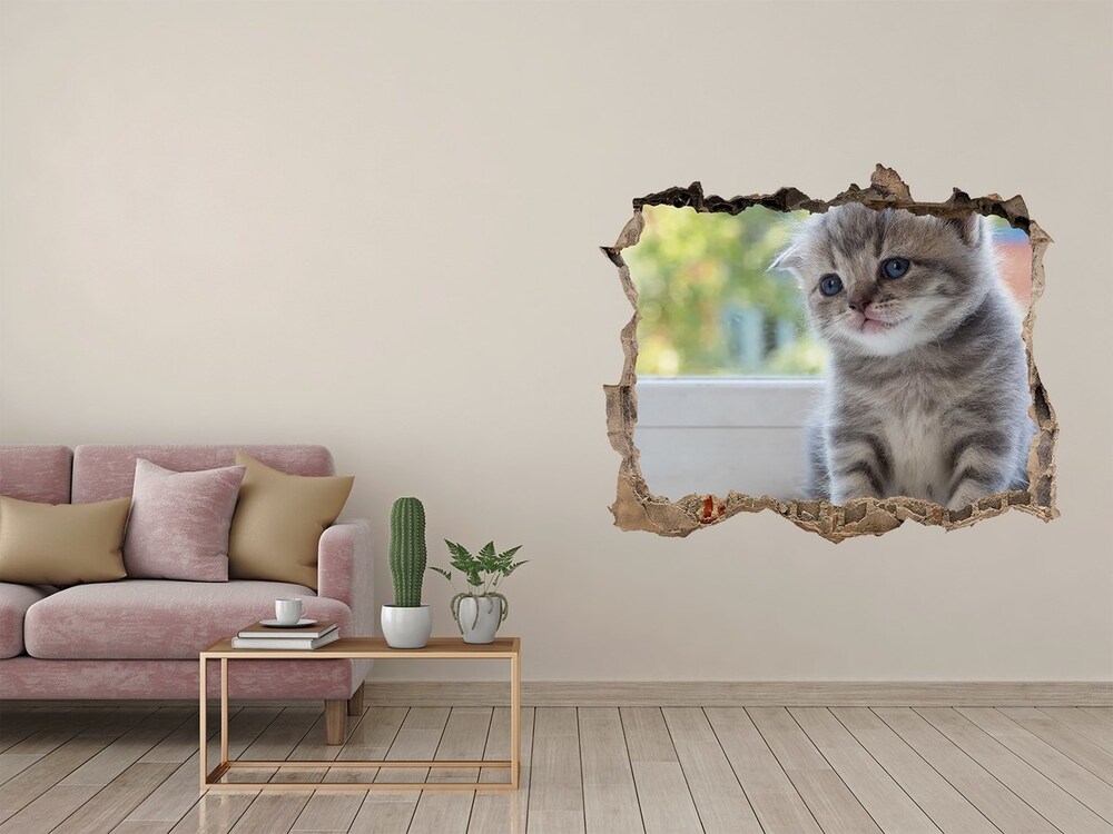 Díra 3D fototapeta na stěnu Malá mačka na okne