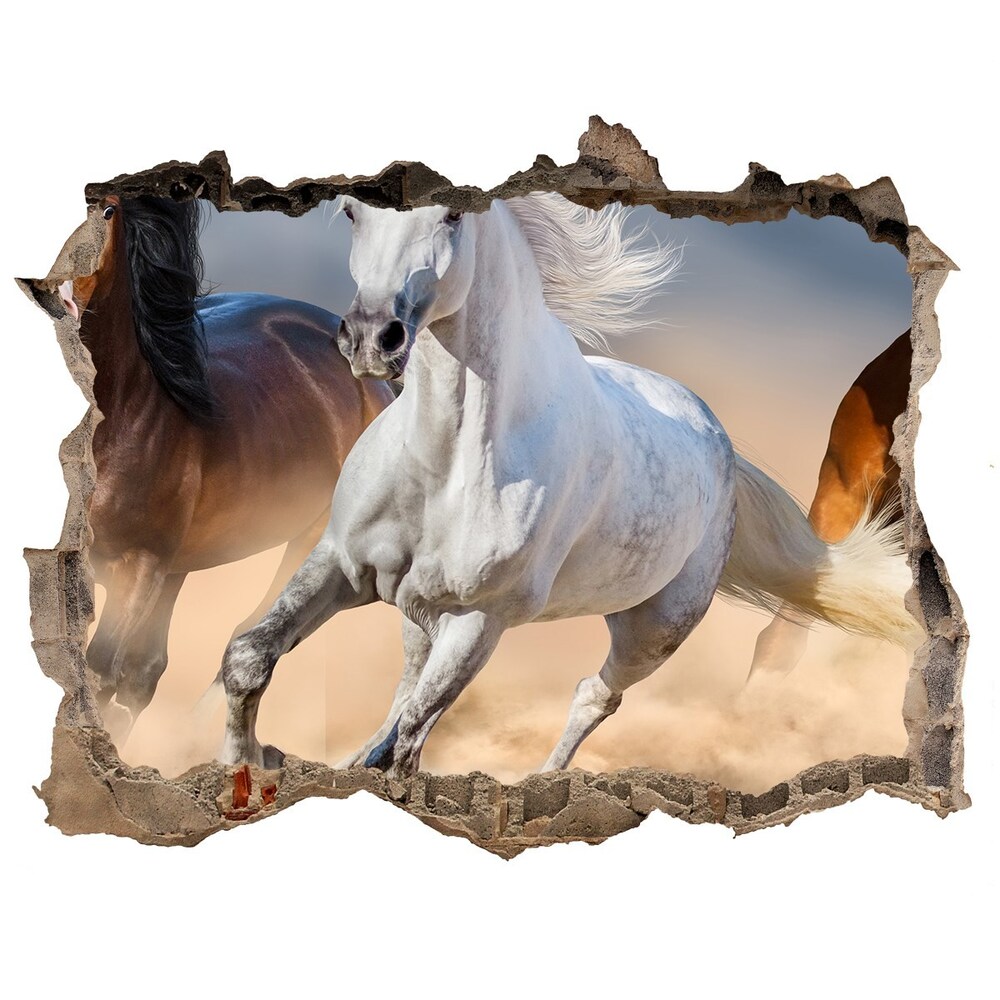 Díra 3D fototapeta nálepka Kone v púšti