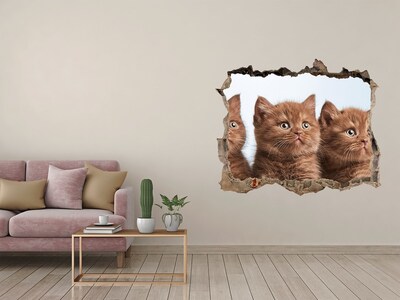 Díra 3D fototapeta na stěnu Mačky na uterák