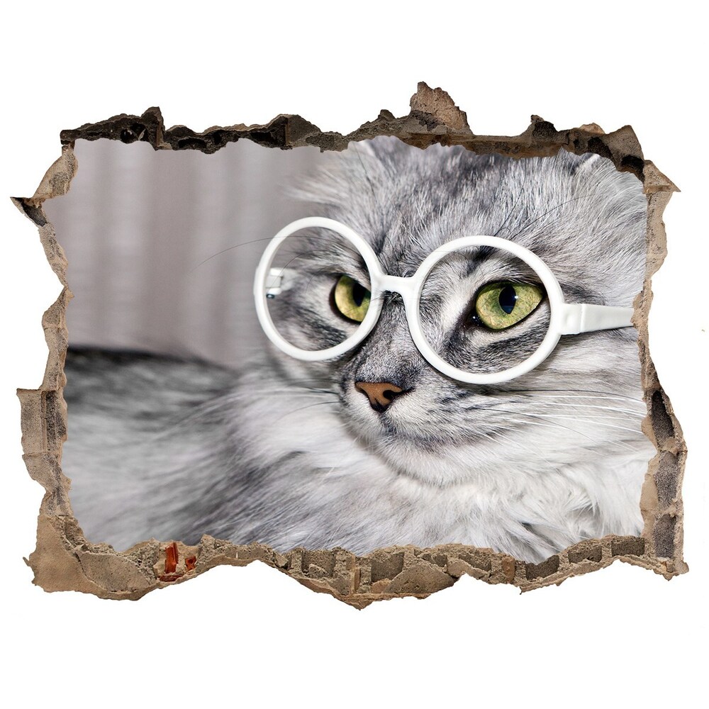 Díra 3D fototapeta nálepka Mačka s okuliarmi
