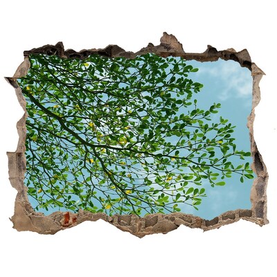 Díra 3D ve zdi nálepka Zelené listy pod modrou oblohou