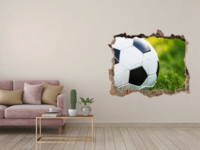 Fototapeta díra na zeď 3D Futbal na ihrisku
