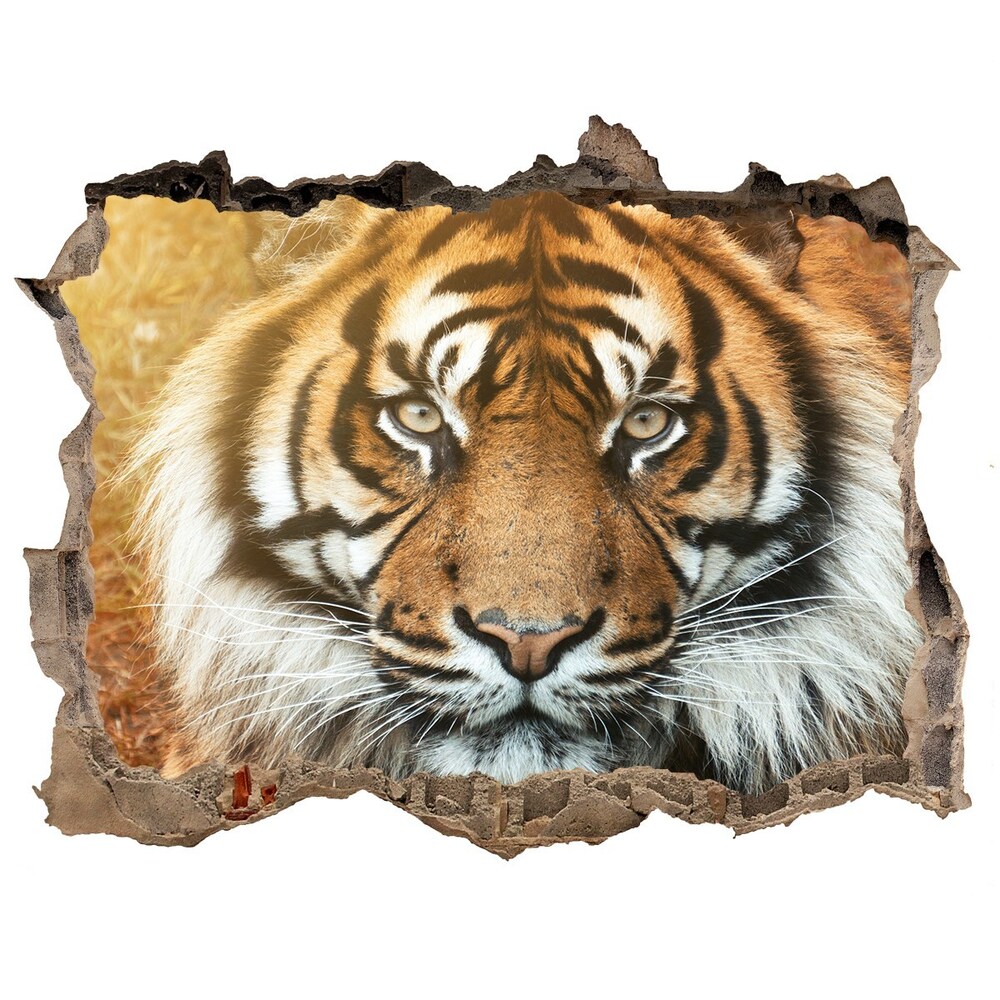 Díra 3D fototapeta na stěnu Tiger bengálsky