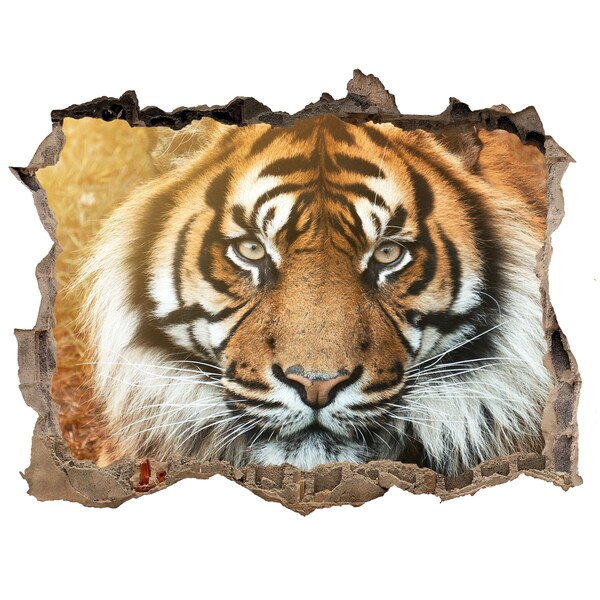 Díra 3D fototapeta na stěnu Tiger v diere v stene