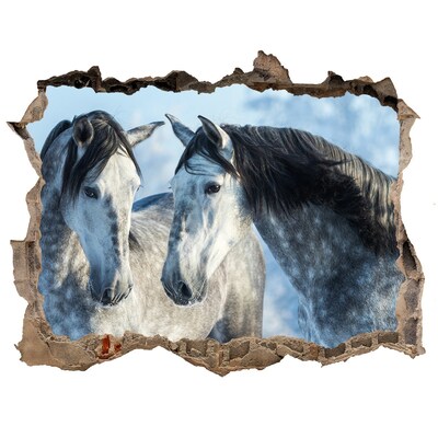 Díra 3D fototapeta nálepka Gray kone v zime