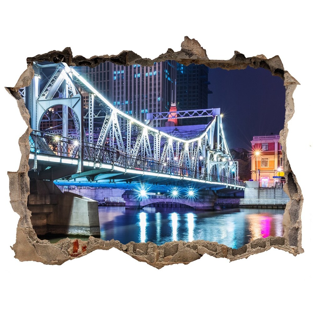 Fototapeta díra na zeď Shanghai bridge