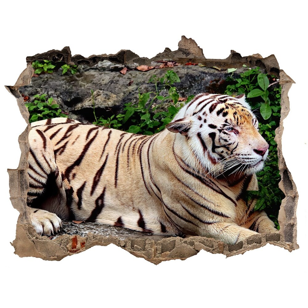 Fototapeta díra na zeď Tiger na skale