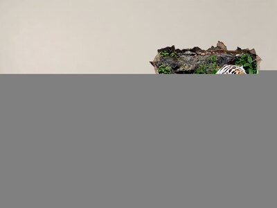 Fototapeta díra na zeď Tiger v jeho prirodzenom prostredí