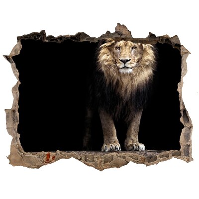Díra 3D fototapeta na stěnu Portrét leva