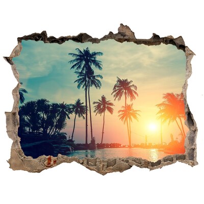 Díra 3D ve zdi nálepka Sunset palm