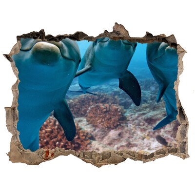 Fototapeta díra na zeď Delfíny