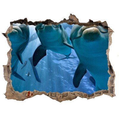 Díra 3D fototapeta na stěnu Podvodný svet s delfínmi
