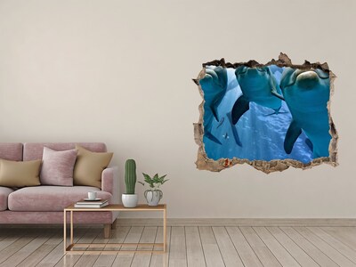 Díra 3D fototapeta na stěnu Tri delfíny