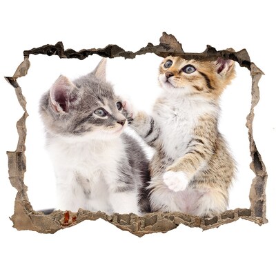 Díra 3D fototapeta nálepka Dve malé mačky