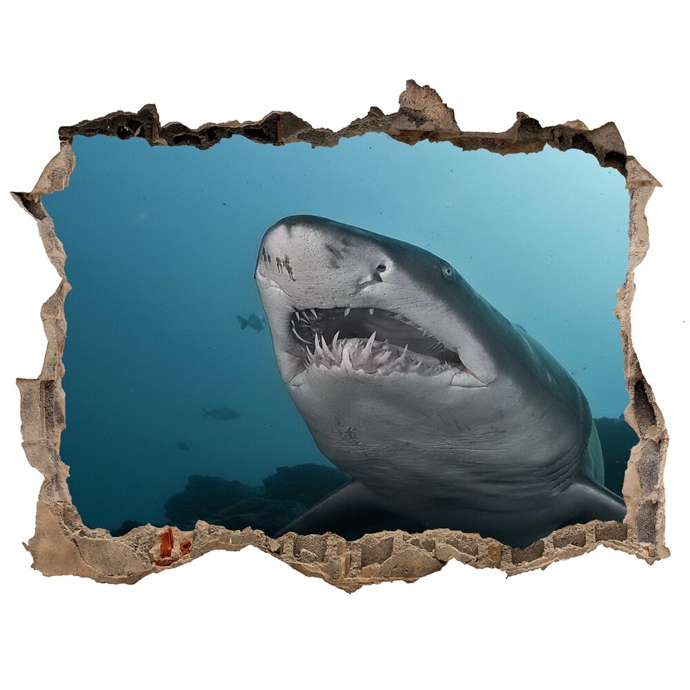 Díra 3D fototapeta nálepka Veľký žralok