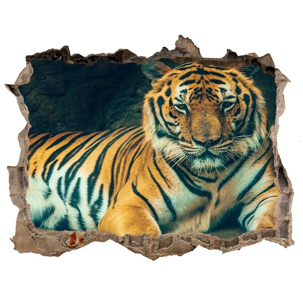 Díra 3D fototapeta nálepka Tiger cave