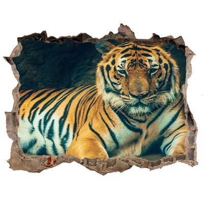 Díra 3D fototapeta nálepka Tiger cave