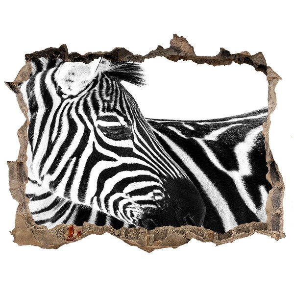 Díra 3D fototapeta nálepka Zebra v diere v stene