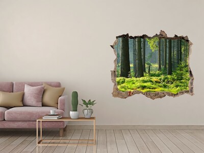 Díra 3D ve zdi na stěnu Smrekový les
