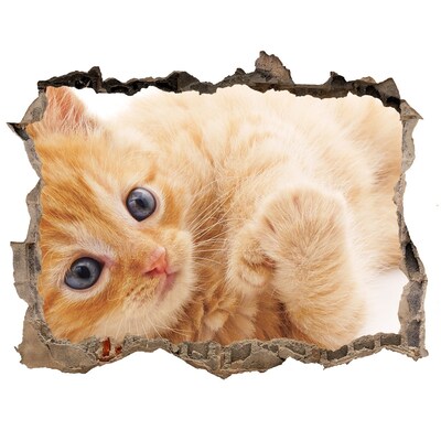 Díra 3D fototapeta nálepka Mačka v diere v stene