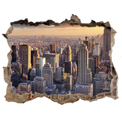 Fototapeta díra na zeď 3D New york letu vták