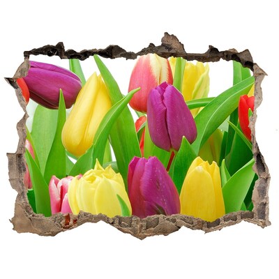 Samolepící nálepka na zeď Farebné tulipány