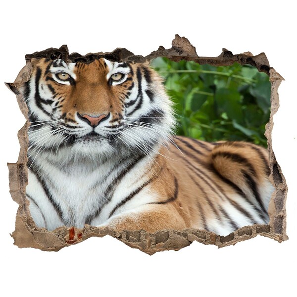 Díra 3D fototapeta nálepka Tiger ussurijský