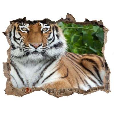 Díra 3D fototapeta nálepka Tiger v jeho prirodzenom prostredí